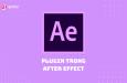 MỘT SỐ PLUGIN THÔNG DỤNG VÀ PHỔ BIẾN TRONG AFTER EFFECT