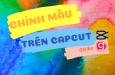Hướng dẫn cách chỉnh màu trên Capcut đơn giản đẹp lung linh
