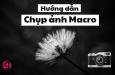 Cách chụp ảnh macro: Bí quyết ghi lại những khoảnh khắc độc đáo