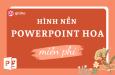 Tải 90+ hình nền Powerpoint hoa độc đáo miễn phí