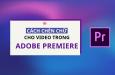 Cách chèn chữ trong Adobe Premiere chi tiết