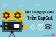 Cách tua ngược video trên Capcut ở điện thoại và máy tính