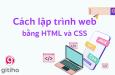 Cách viết web bằng HTML và CSS đơn giản chi tiết