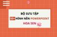 Bộ sưu tập 50+ hình nền Powerpoint hoa sen trang nhã đẹp nhất