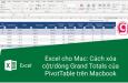 CÁCH XÓA CỘT HOẶC DÒNG GRAND TOTAL CỦA PIVOT TABLE TRONG EXCEL TRÊN MACBOOK