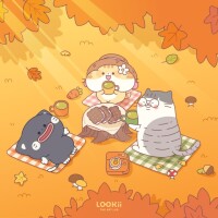 Thịnh Phương Loan