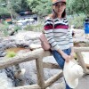 Lưu Kim Hồng 