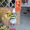 Phượng Phùng Thị Hồng