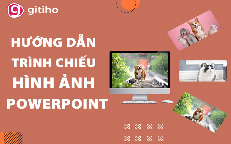 Hướng Dẫn Trình Chiếu Hình Ảnh Đơn Giản Chuyên Nghiệp Powerpoint