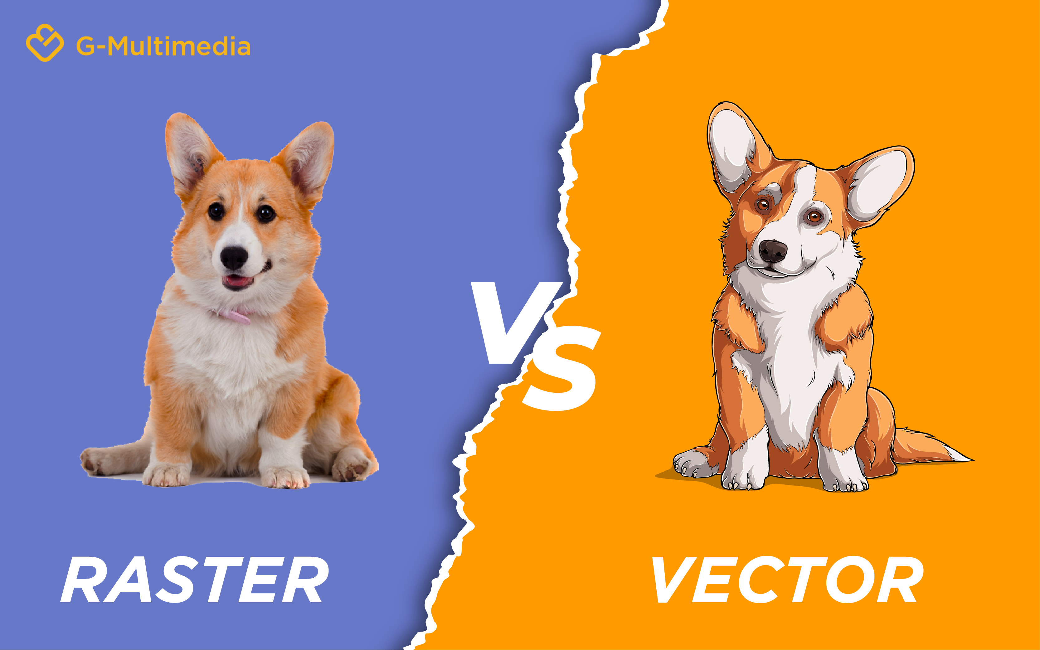 Tìm hiểu về sự khác biệt giữa hai dạng mã hóa hình ảnh là Vector và Raster. Nắm vững kiến thức này sẽ giúp bạn dễ dàng sử dụng và chỉnh sửa được hình ảnh của mình một cách tốt nhất.