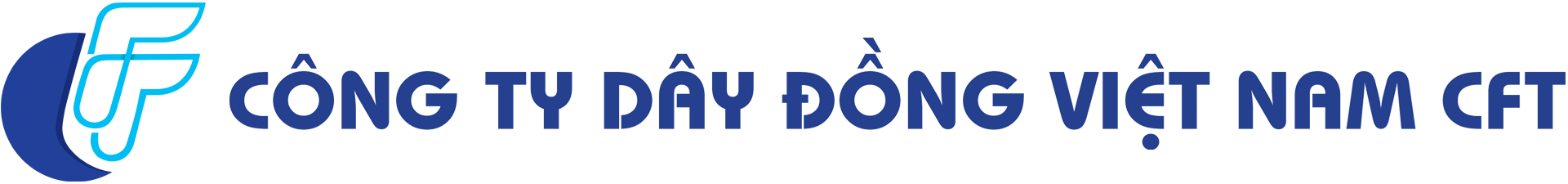 Công Ty Dây Đồng Việt Nam CFT
