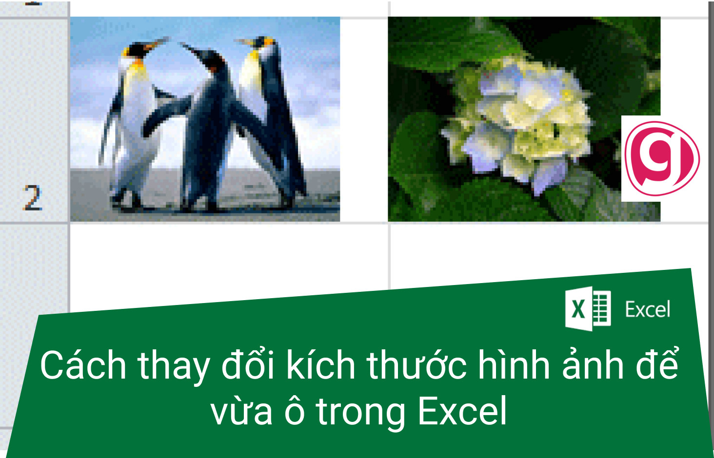 Hướng dẫn chỉnh kích thước ảnh để vừa ô trong Excel