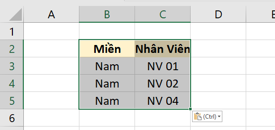 Hướng dẫn cách copy chỉ những giá trị hiển thị sau khi lọc trong Excel